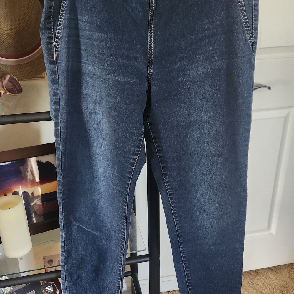 New York & Company Dark Blue Skinny Jeans